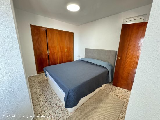 Apartamento en alquiler en Guardamar del Segura (Alicante)