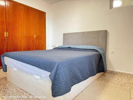 Apartamento en alquiler en Guardamar del Segura (Alicante)