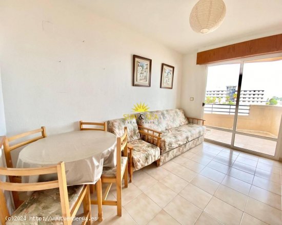 Apartamento en alquiler en Pilar de la Horadada (Alicante)