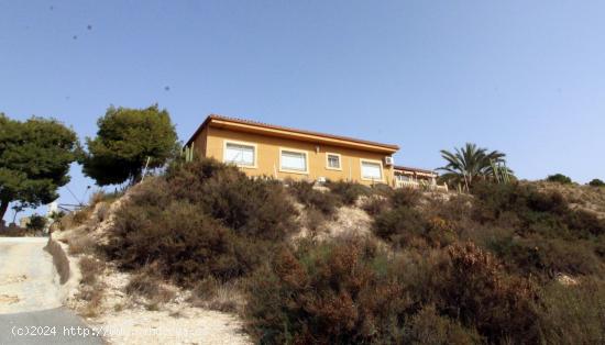  MAGNIFICO CHALET A LA VENTA EN CREVILLENTE - ALICANTE 