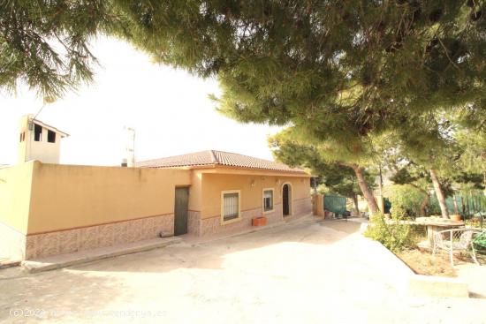 MAGNIFICO CHALET A LA VENTA EN CREVILLENTE - ALICANTE