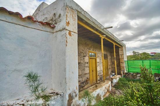 Finca rústica en producción, con agua y vivienda a reformar. - LAS PALMAS