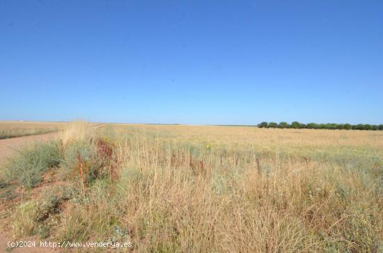 Urbis te ofrece un terreno en venta en Castellanos de Villiquera, Salamanca. - SALAMANCA