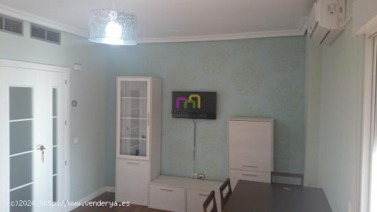  ALQUILER CON MUEBLES: APARTAMENTO REFORMADO EN EL CORAZÓN DE BADAJOZ 🌟 - BADAJOZ 