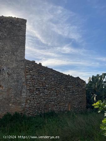 FINCA RUSTICA PARA REFORMAR - BALEARES