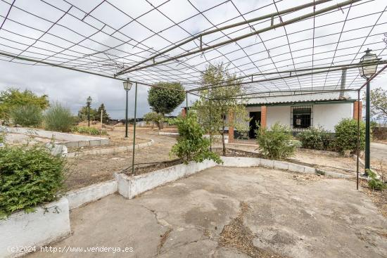 Finca de recreo en Los Tablazos - GRANADA