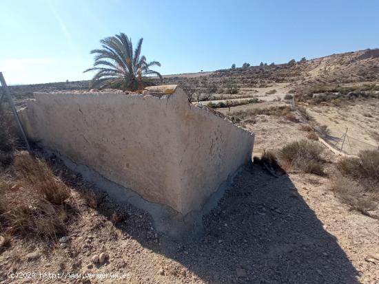 CASA CUEVA PARA REFORMAR - MURCIA