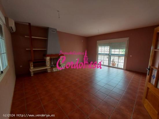 MAGNIFICA CASA CON TERRENO EN ALCOLEA. !!!! - CORDOBA