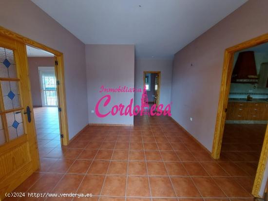 MAGNIFICA CASA CON TERRENO EN ALCOLEA. !!!! - CORDOBA