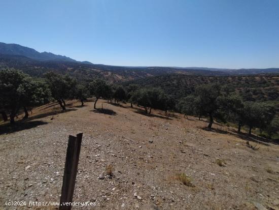 Venta de terreno rural en Fuencaliente (Ciudad Real) - CIUDAD REAL