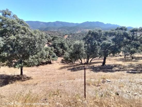 Venta de terreno rural en Fuencaliente (Ciudad Real) - CIUDAD REAL