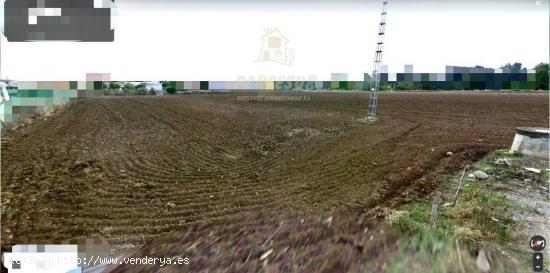 ZONA CARRETERA DEL AEROPUERTO - Parcela de terreno de 39.300 m de tipo agrícola - CORDOBA