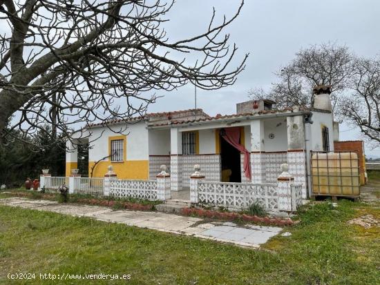 Casa de campo con 4500 metros de parcela - CACERES