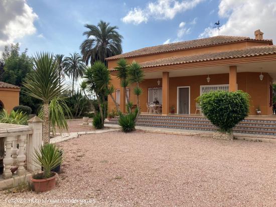 Finca rústica con dos casas!! - ALICANTE