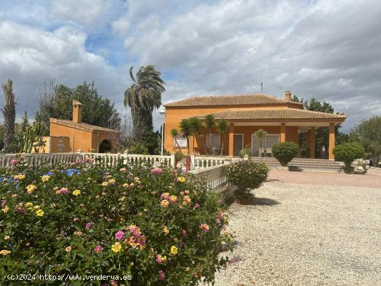 Finca rústica con dos casas!! - ALICANTE