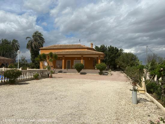 Finca rústica con dos casas!! - ALICANTE