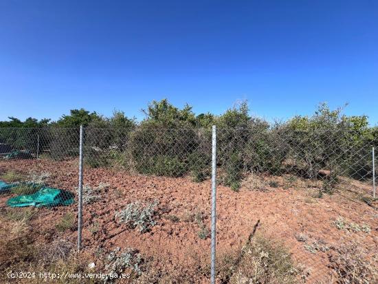  VENTA DE TERRENO EN LOS RUBILAES, GUILLENA. - SEVILLA 