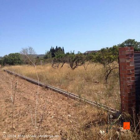 BUENA OPORTUNIDAD EN ULLDECONA - TARRAGONA