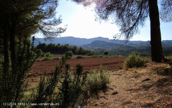 Suelo rústico en venta  en Sant Llorenç Savall - Barcelona