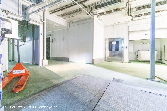 Nave industrial en venta  en Manlleu - Barcelona