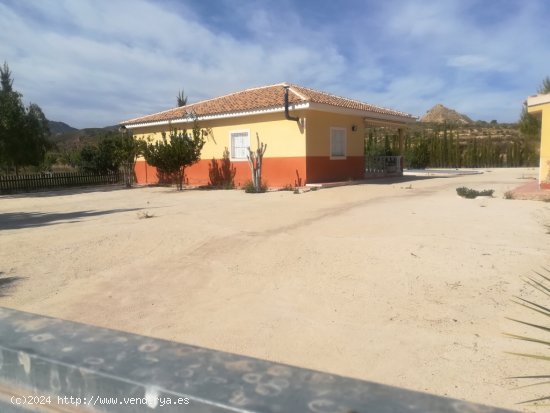 Casa-Chalet en Venta en Fortuna Murcia