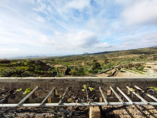 Finca con producción de vino con lagar en el Río de Arico