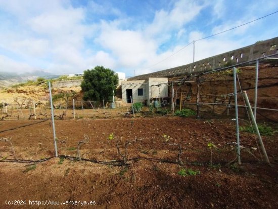 Finca con producción de vino con lagar en el Río de Arico