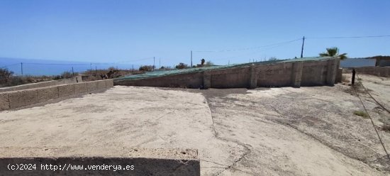 Finca rústica registrada en Los Blanquitos, Granadilla de Abona