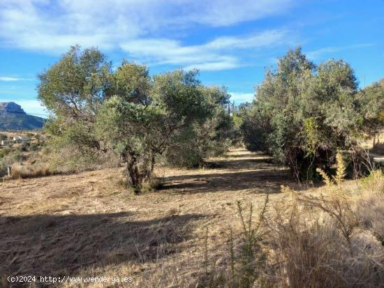 ▷Parcela rústica libre de construcción en Benissa, Costa Blanca. - ALICANTE