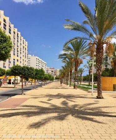  Cala villajoyosa alquilo para todo el año. 1 dormitorio 2 baños. - ALICANTE 