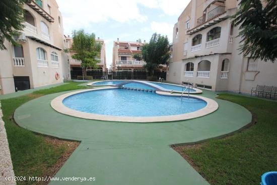  Bonito apartamento con vistas al parque, muy soleado. - ALICANTE 