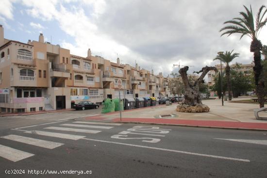 Bonito apartamento con vistas al parque, muy soleado. - ALICANTE