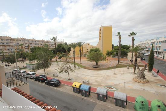 Bonito apartamento con vistas al parque, muy soleado. - ALICANTE