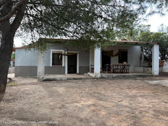  Interesante chalet en Cheste en plena naturaleza a 30 minutos de valencia - VALENCIA 