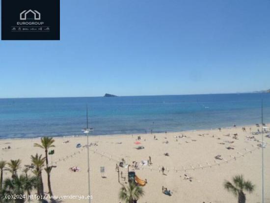 Precioso apartamento reformado en 1º linea de playa Levante, Benidorm.www.euroloix.com - ALICANTE