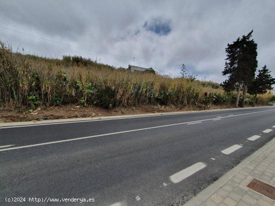 TERRENO URBANO EN MOYA - LAS PALMAS