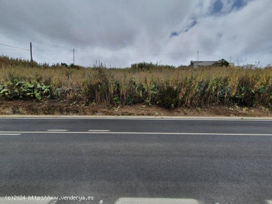 TERRENO URBANO EN MOYA - LAS PALMAS