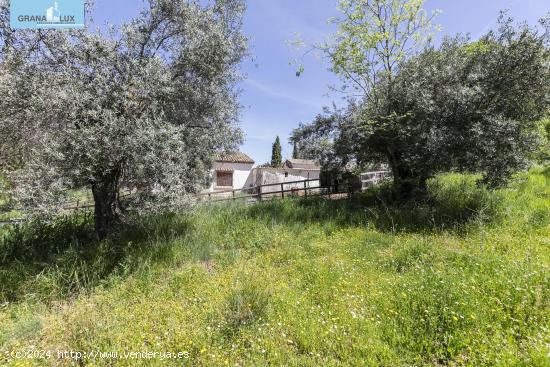  ¡Inversión Única en el Corazón de la Naturaleza! Terreno de 9500m² - GRANADA 