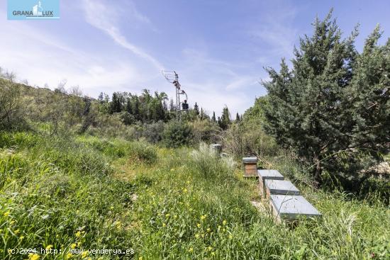 ¡Inversión Única en el Corazón de la Naturaleza! Terreno de 9500m² - GRANADA