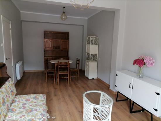 APARTAMENTO DOS DORMITORIOS , BAÑO , COCINA Y SALON - LEON