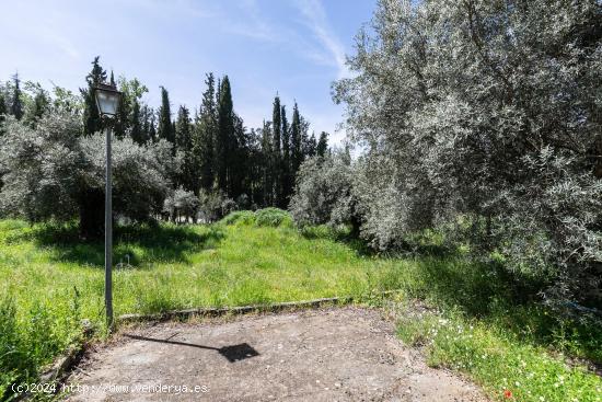 Oportunidad única en Urbanización Aguas Blancas, Dúdar - GRANADA