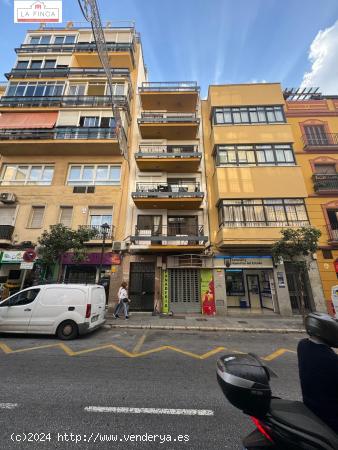 Local Comercial en Plena calle Victoria - MALAGA