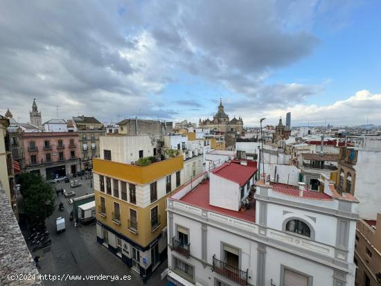 Magnificas vistas a toda Sevilla - SEVILLA