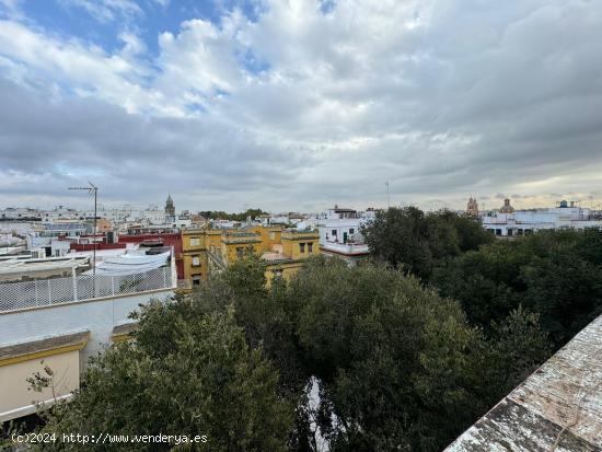 Magnificas vistas a toda Sevilla - SEVILLA