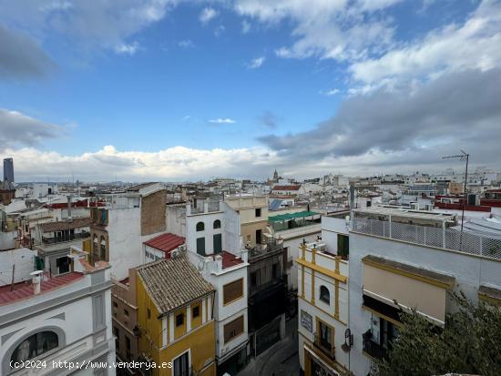 Magnificas vistas a toda Sevilla - SEVILLA