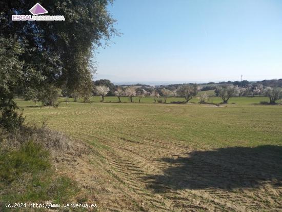 Se vende finca rústica 1.7 hectareas en Castillazuelo - HUESCA