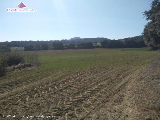 Se vende finca rústica 1.7 hectareas en Castillazuelo - HUESCA