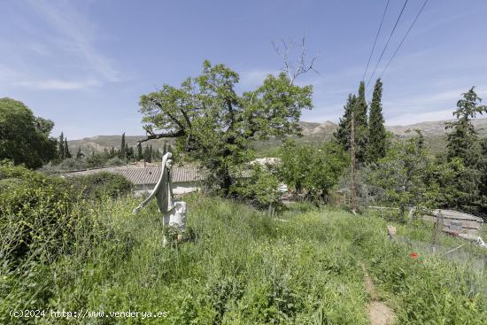 ¡Inversión Única en el Corazón de la Naturaleza! Terreno de 9500m² - GRANADA