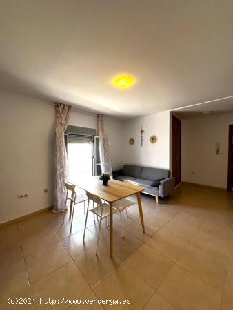 ☀🐬 APARTAMENTO ALEGRÍA 4 🐬☀ - CADIZ