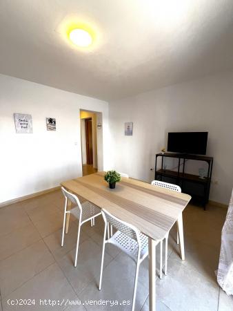 ☀🐬 APARTAMENTO ALEGRÍA 4 🐬☀ - CADIZ